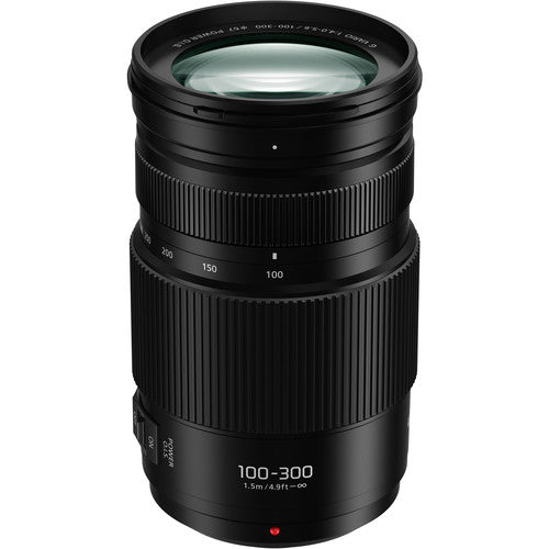 Panasonic Lumix G Vario 100-300mm f4-5.6 Lens Bundle with 67mm Filter Kits