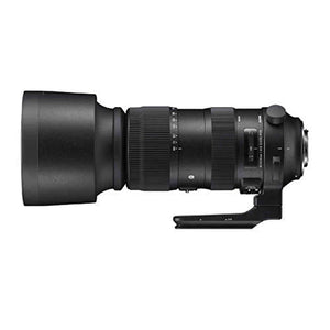 Sigma 60-600mm Fixed Zoom F4.5-6.3 DG OS HSM Camera Lenses, Black Sigma