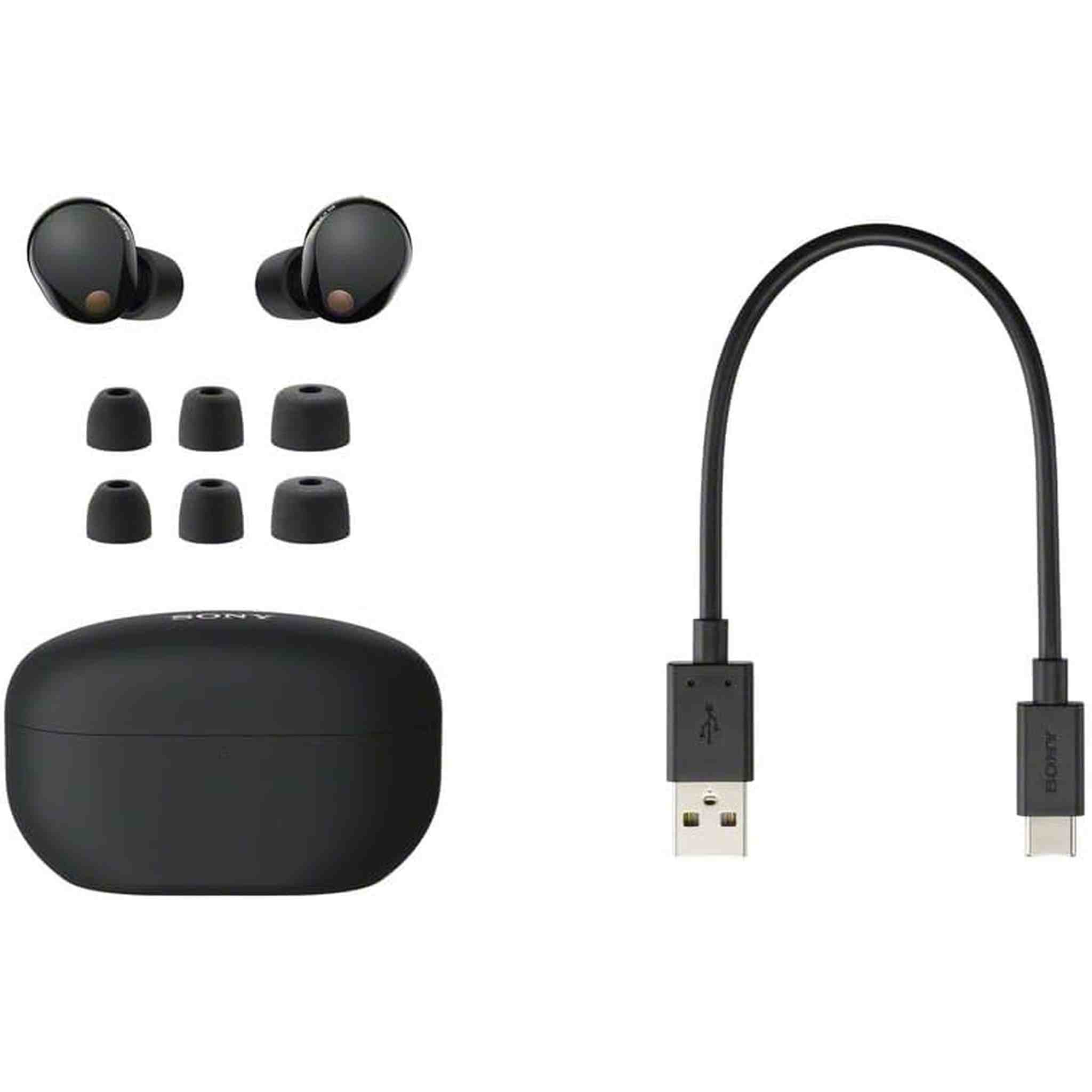 Sony WF-1000XM5 Noise-Canceling True Wireless In-Ear Headphones Black