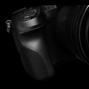 PANASONIC LUMIX FZ2500 4K Point and Shoot Camera, 20X LEICA DC Vario-ELMARIT F2.8-4.5 Lens, 21.1 Megapixels, 1 Inch High Sensitivity Sensor, DMC-FZ2500 Renewed - Reconditioned Panasonic
