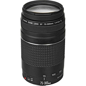Canon EF 75-300mm f/4-5.6 III Telephoto Zoom Lens for Canon SLR Cameras, 6473A003 Renewed - Reconditioned Canon