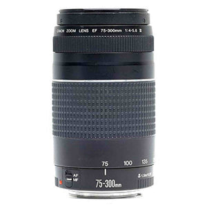 Canon EF 75-300mm f/4-5.6 III Telephoto Zoom Lens for Canon SLR Cameras Renewed - Reconditioned Canon