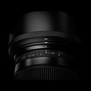 Sigma 17-70mm F2.8-4 Contemporary DC Macro OS HSM Lens for Nikon - Used SIGMA