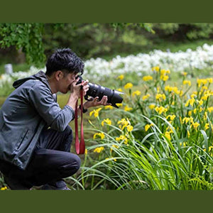 NIKKOR Z 100-400mm f/4.5-5.6 VR S Intenrational Model - Reconditioned