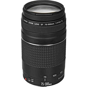 Canon EF 75-300mm f/4-5.6 III Lens - Used Canon