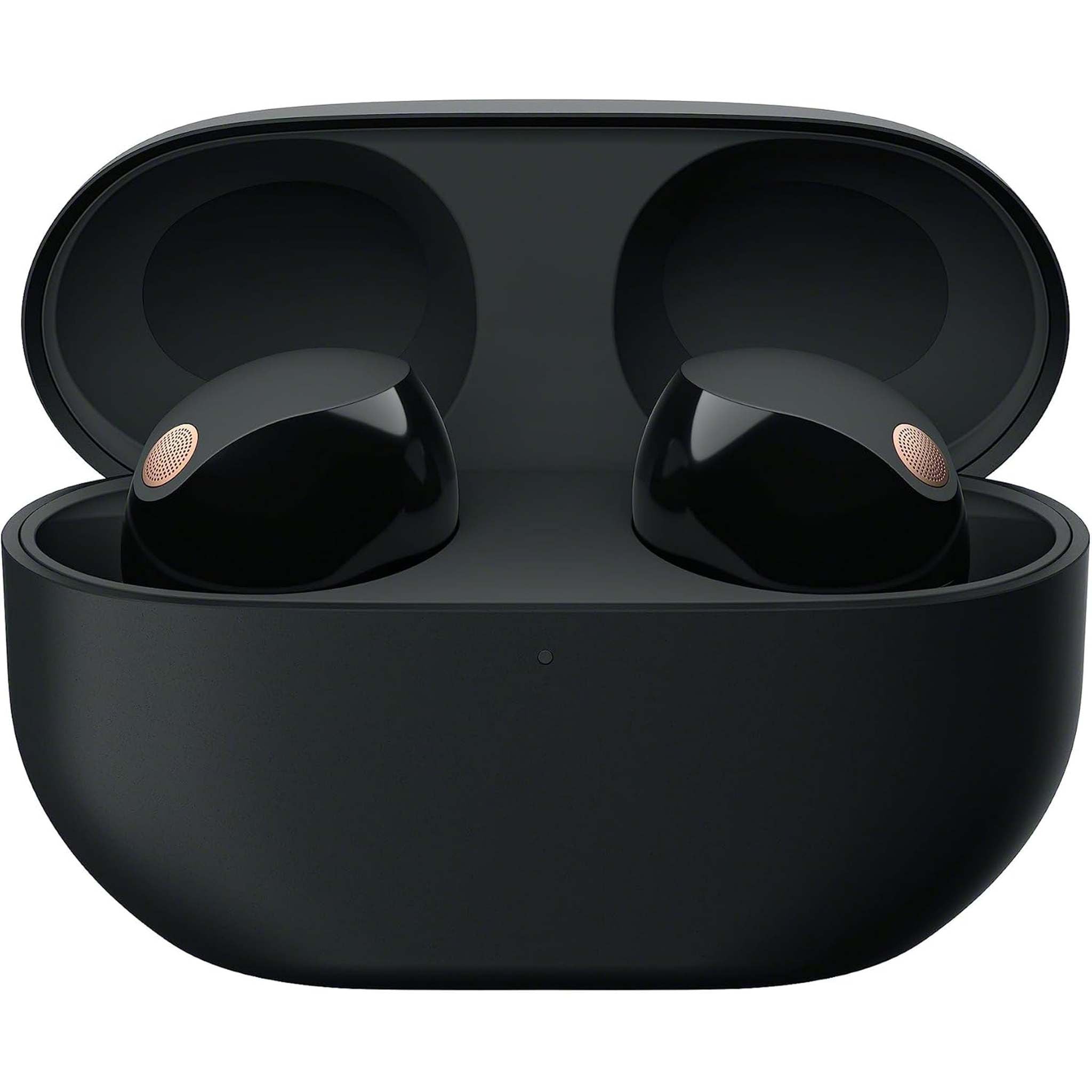 Sony WF-1000XM5 Noise-Canceling True Wireless In-Ear Headphones Black