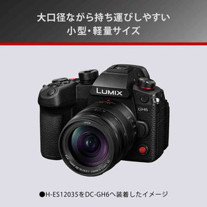 Panasonic H-ES12035 Leica DG Vario-ELMARIT 12-35mm/F2.8 ASPH./Power O.I.S. G Series Zoom Lens Micro Four Thirds Japan Import