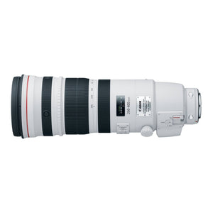 Canon EF 200-400mm f/4L IS USM Extender 1.4x - Used Canon