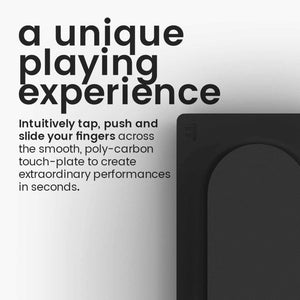 Expressive E Touché SE USB Instrument Control Surface for Software Synthesizers, and Music Production Software Expressive