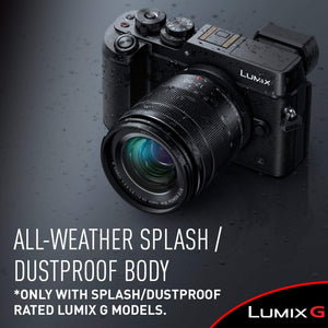 PANASONIC LUMIX G VARIO LENS, 12-60MM, F3.5-5.6 ASPH., MIRRORLESS MICRO FOUR THIRDS, POWER OPTICAL I.S., H-HS12060 - Reconditioned Panasonic