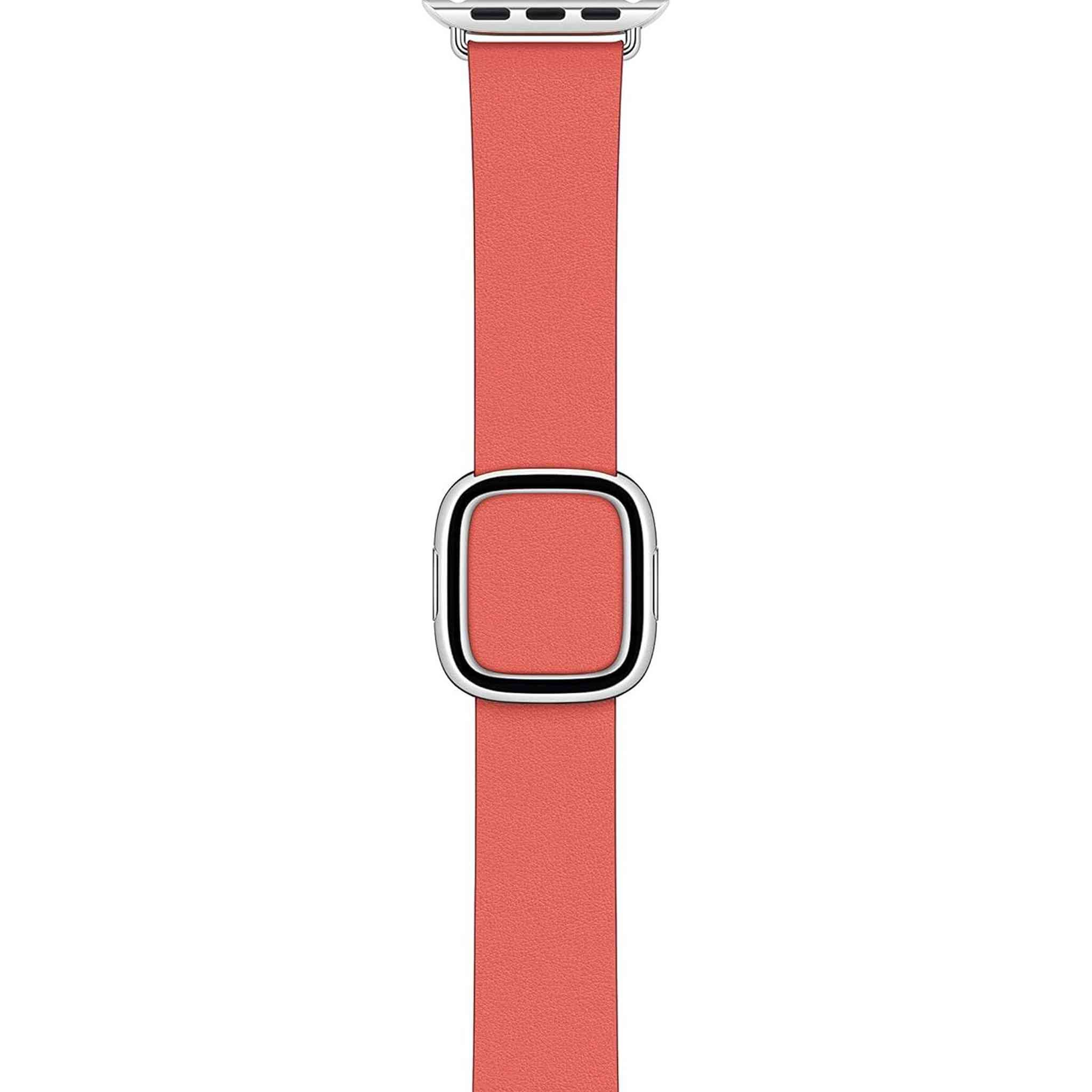 Apple Watch Band - Modern Buckle 40mm - Pink Citrus - Large