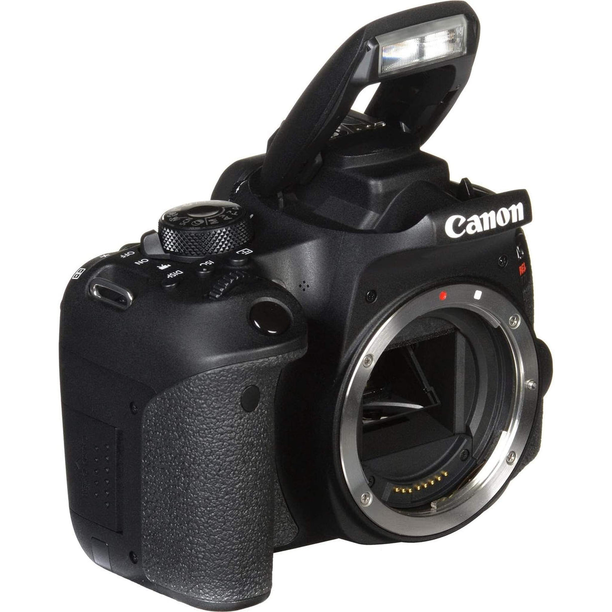 Canon EOS Rebel 800D / T7i DSLR Camera + Canon EF 50mm Lens + 64GB Graphic Bundle