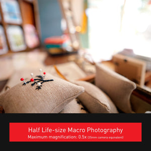 Panasonic LUMIX Micro Four Thirds Camera Lens, Leica DG SUMMILUX 9mm F1.7 ASPH, Large Aperture, Video Performance, H-X09