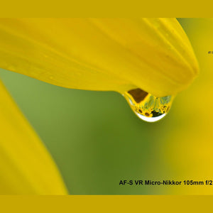 Nikon AF-S VR Micro-NIKKOR 105mm f/2.8G IF-ED Lens - Used Nikon