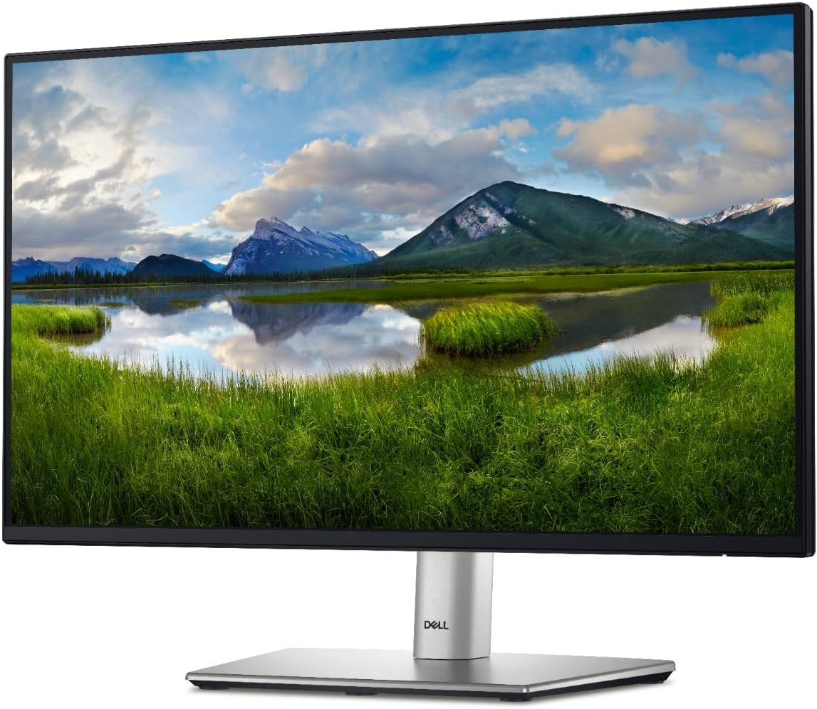 Dell 22" Monitor (P2225H)