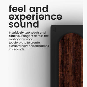 Expressive E Touché MIDI/CV/USB Control Surface for Software and Hardware Synthesizers Expressive