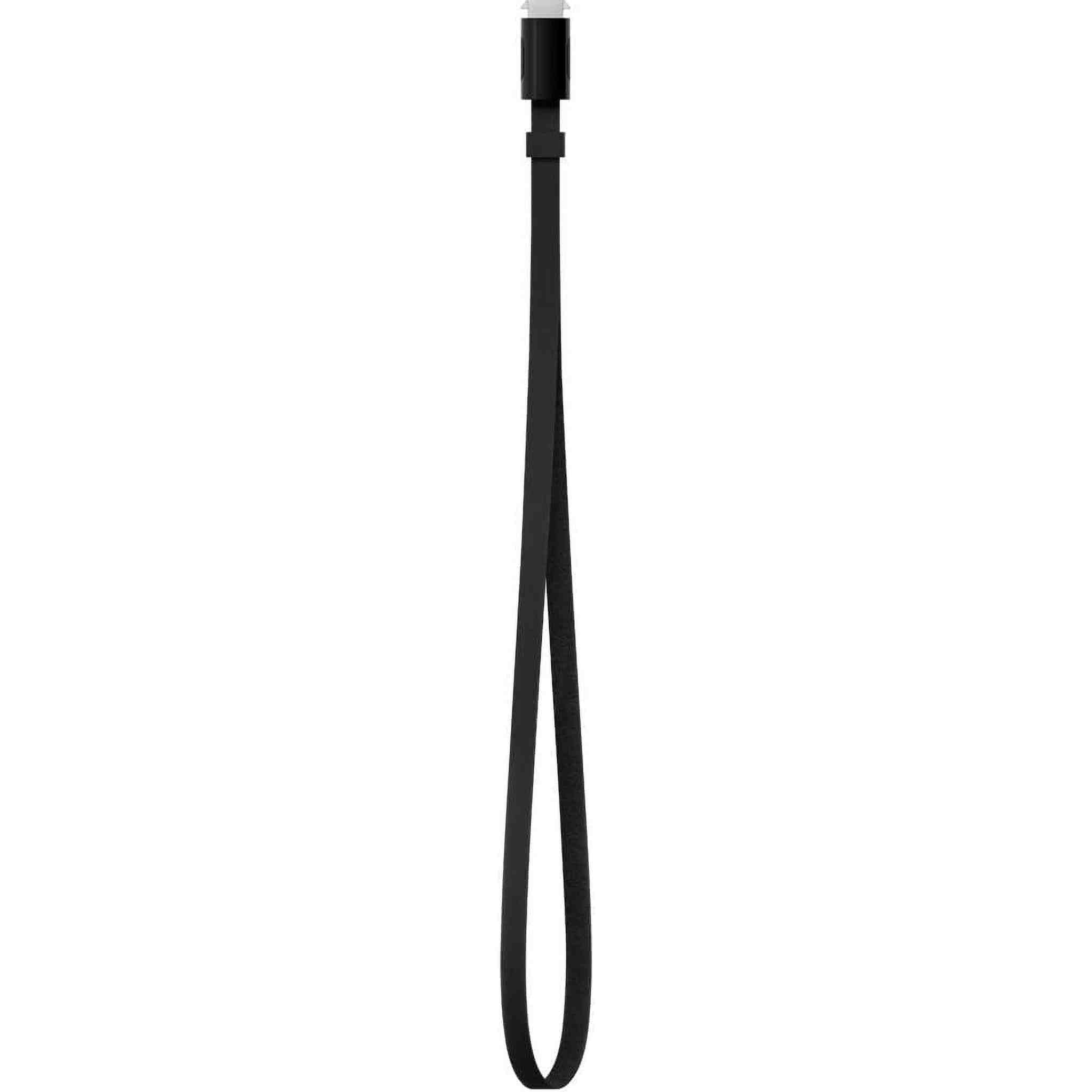 Apple TV Remote Loop Apple
