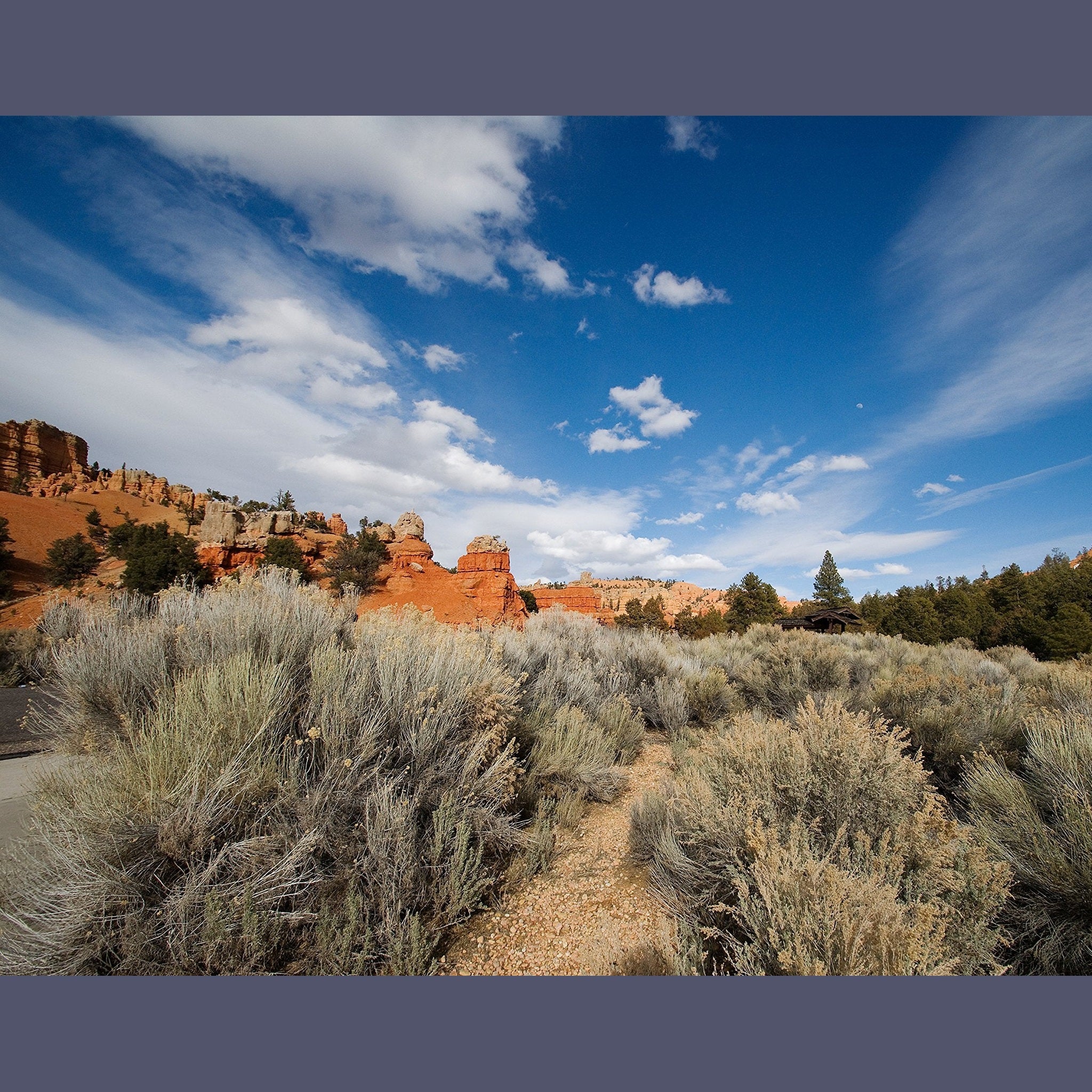 Tamron AF 10-24mm f/3.5-4.5 SP Di II LD Aspherical IF Lens for Canon DSLR - International Version No Warranty Tamron