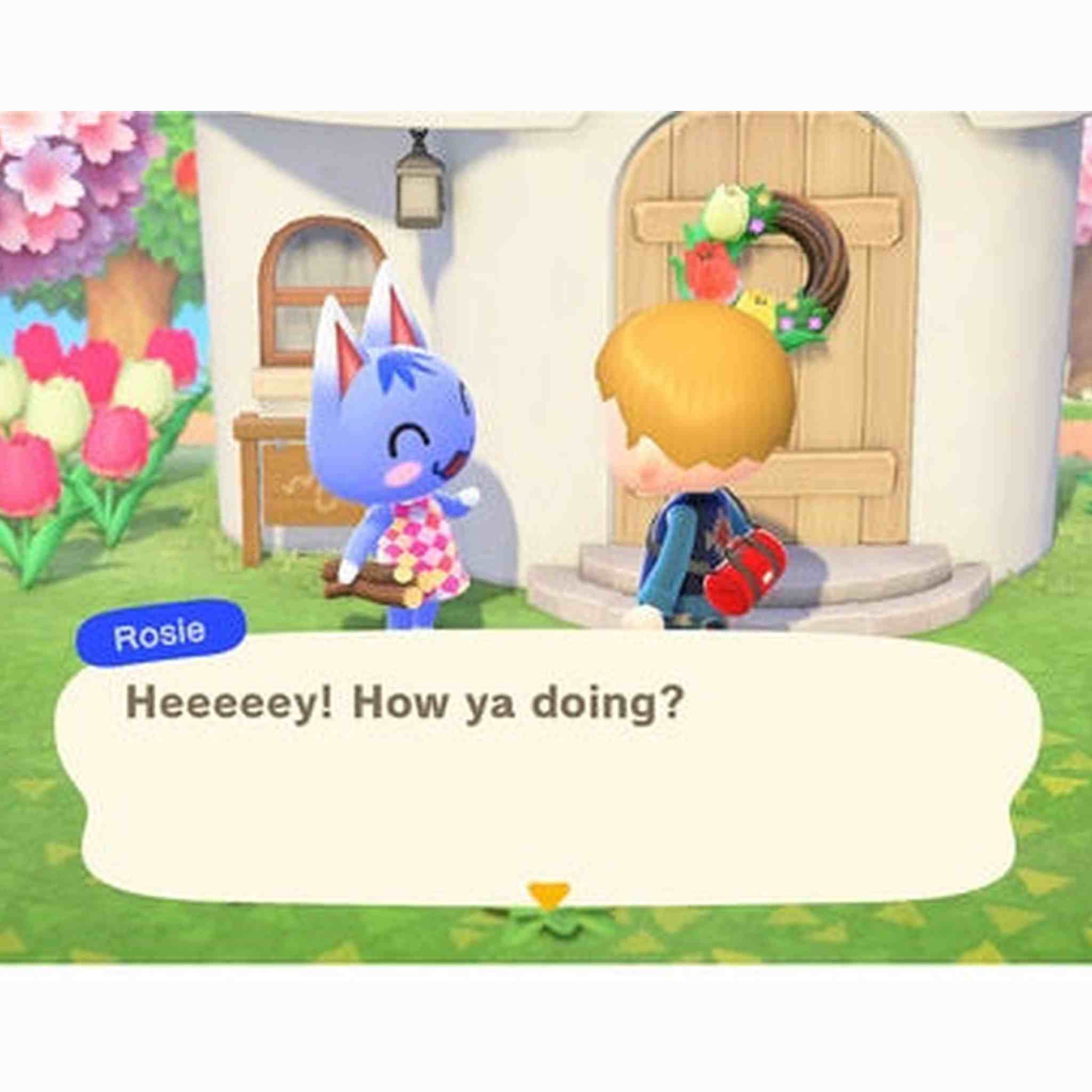 Animal Crossing: New Horizons - Nintendo Switch Nintendo