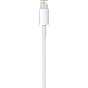 Apple Lightning to USB Cable 0.5 m