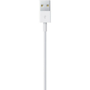 Apple Lightning to USB Cable 0.5 m