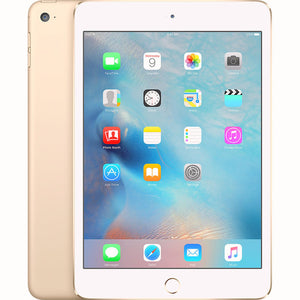 APPLE iPad mini Wi-Fi 64GB - Space Gray - Used Apple