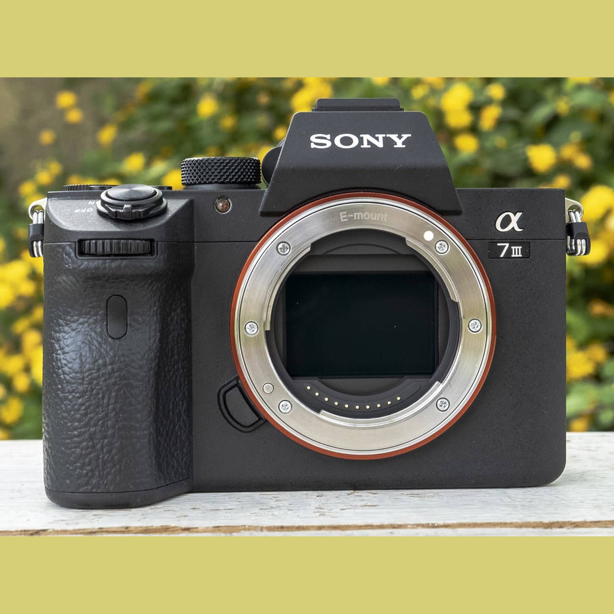 Sony Alpha a7 III Mirrorless Digital Camera Body Only with Camera Cleaning Kit Bundle Sony