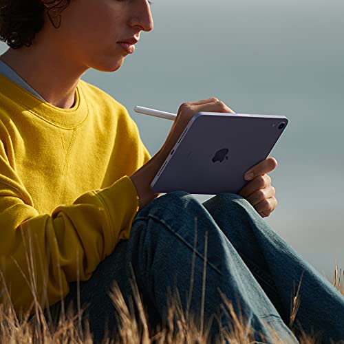 Apple iPad Mini (Wi-Fi, 256GB) - Starlight
