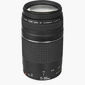 Canon EF 75-300mm f/4-5.6 III Telephoto Zoom Lens