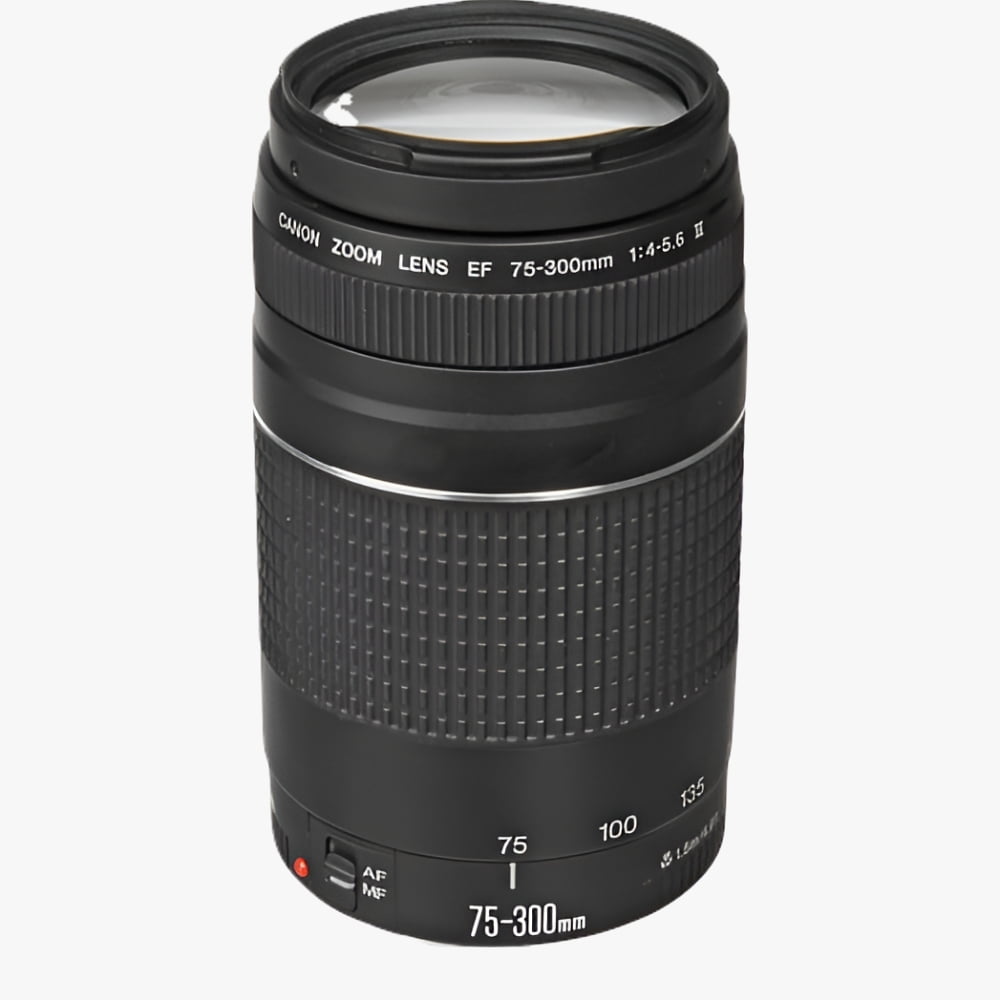 Canon EF 75-300mm f/4-5.6 III Telephoto Zoom Lens