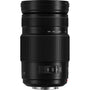 Panasonic Lumix G Vario 100-300mm f/4-5.6 II POWER O.I.S. Lens with Filter Kit