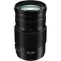 Panasonic Lumix G Vario 100-300mm f/4-5.6 II POWER O.I.S. Lens with Filter Kit