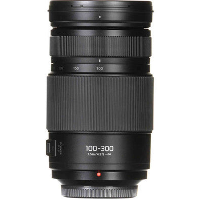 Panasonic Lumix G Vario 100-300mm f/4-5.6 II POWER O.I.S. Lens with Filter Kit