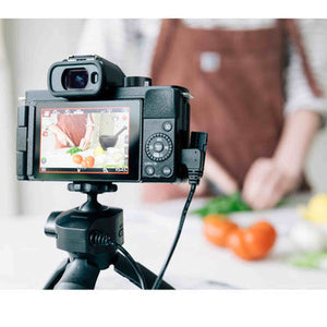 Panasonic Lumix G100 4K Mirrorless Camera with 12-32mm Lens and Tripod Grip Kit