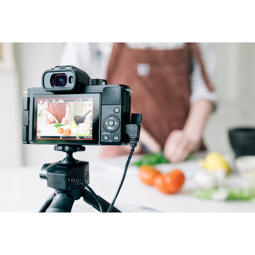 Panasonic Lumix G100 4K Mirrorless Camera with 12-32mm Lens and Tripod Grip Kit