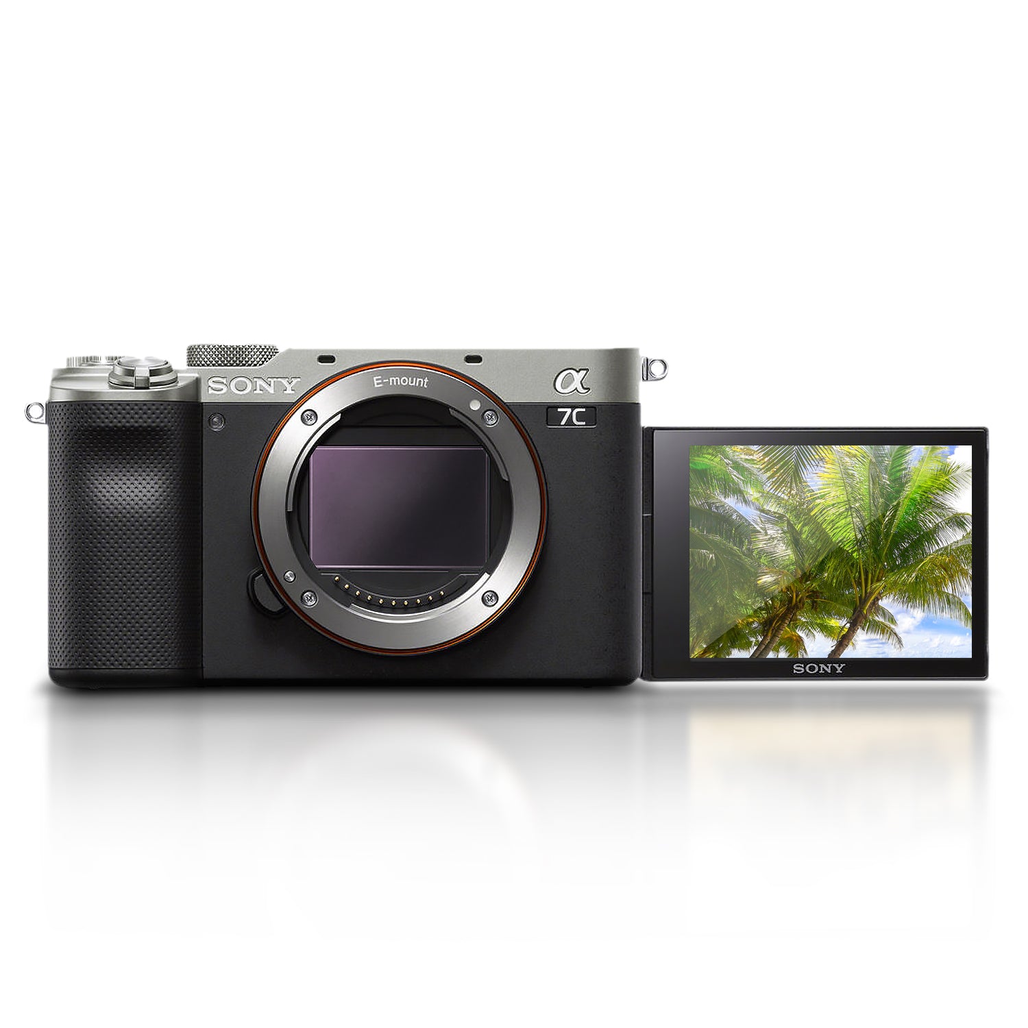 Sony Alpha a7C Mirrorless Digital Camera (Body Only, Silver) (ILCE7C/S) - Pro Bundle