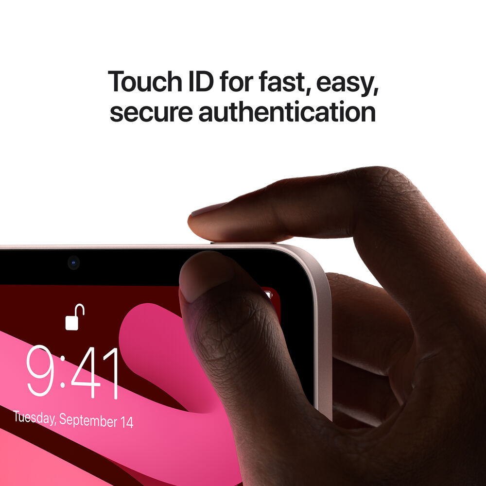 Apple iPad Mini 6 (256GB, Wi-Fi, Pink) Bundle with Black Floral Sleeve