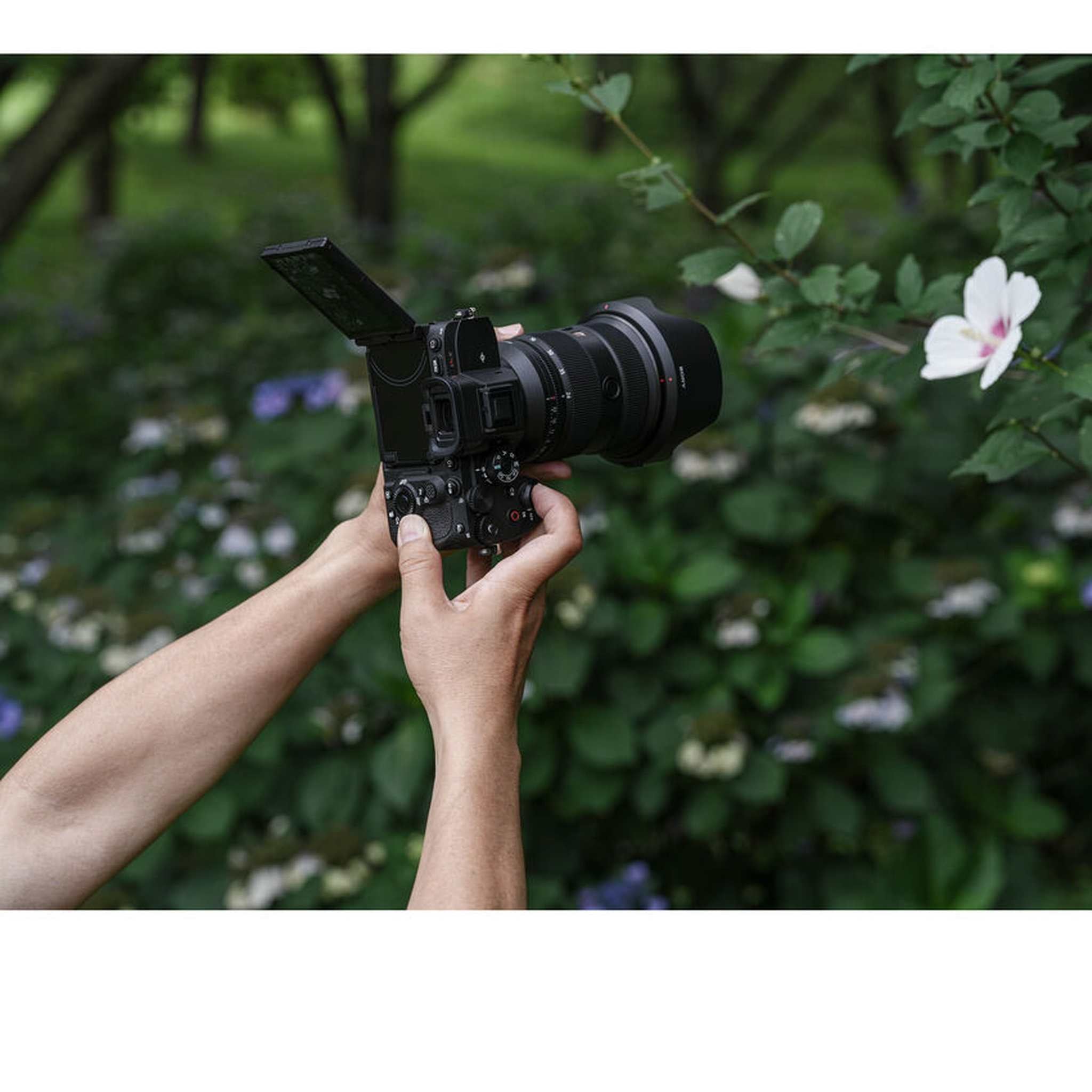 Sony a7R V Mirrorless Camera + 64GB Card + Corel Photo Software + Bag + 2 x NP-FZ100 + More