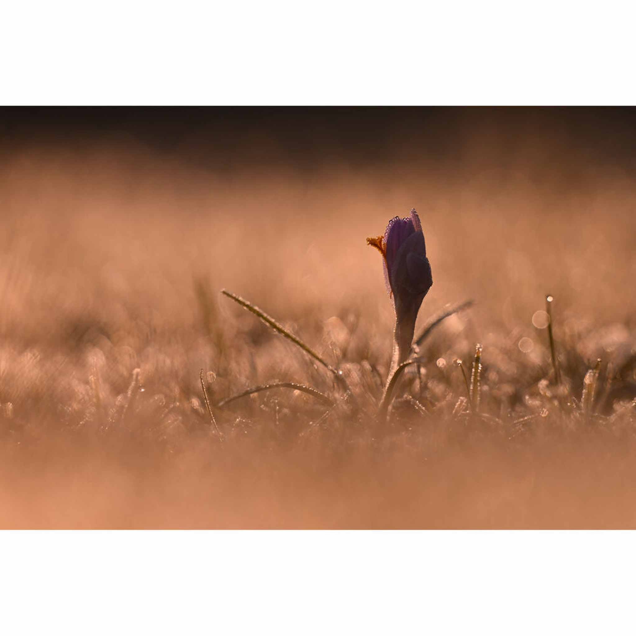 Nikon NIKKOR Z 180-600mm f/5.6-6.3 VR Lens Nikon Z 20117 + Filter Kit - Bundle