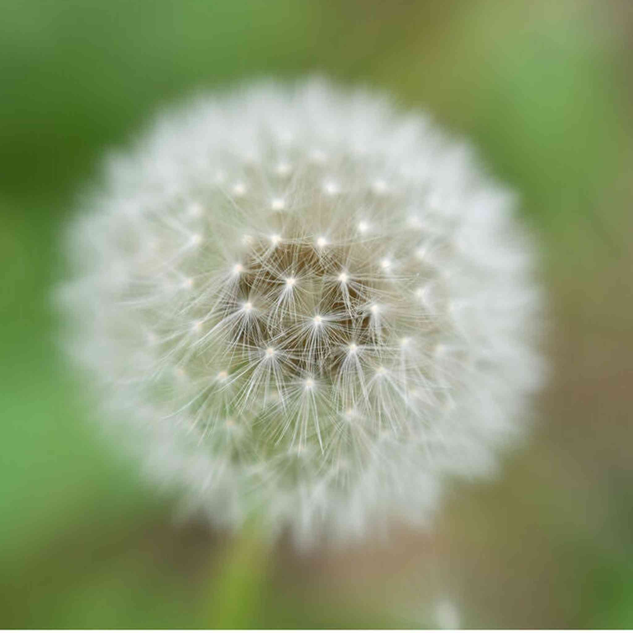 Nikon - NIKKOR Z 70-180mm f/2.8 Standard Zoom Lens for Z Mount Cameras 20120 - Bundle