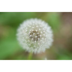 Nikon - NIKKOR Z 70-180mm f/2.8 Standard Zoom Lens for Z Mount Cameras 20120 - Bundle