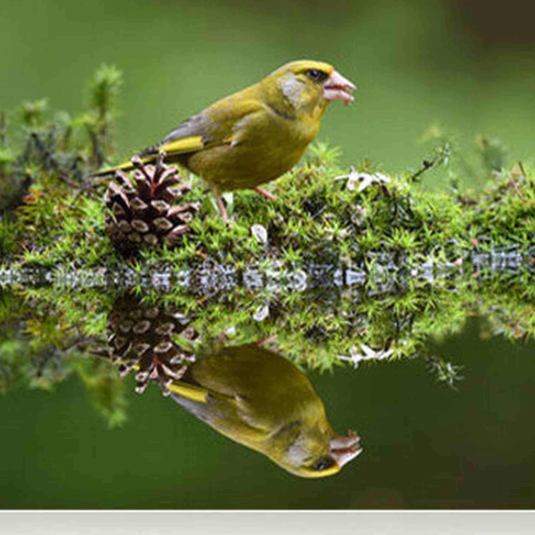 Nikon - AF-S NIKKOR 200-500mm f/5.6E ED VR Super Telephoto Zoom Lens 20058 - Bundle