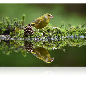 Nikon - AF-S NIKKOR 200-500mm f/5.6E ED VR Super Telephoto Zoom Lens 20058 - Bundle