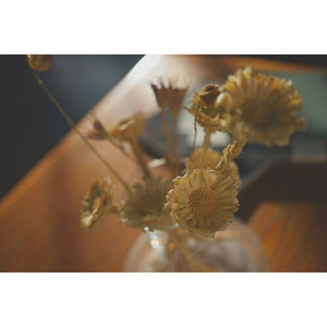 Sony a7C II Mirrorless Camera with 28-60mm Lens ILCE-7CM2L/B + Sony FE 16-35mm