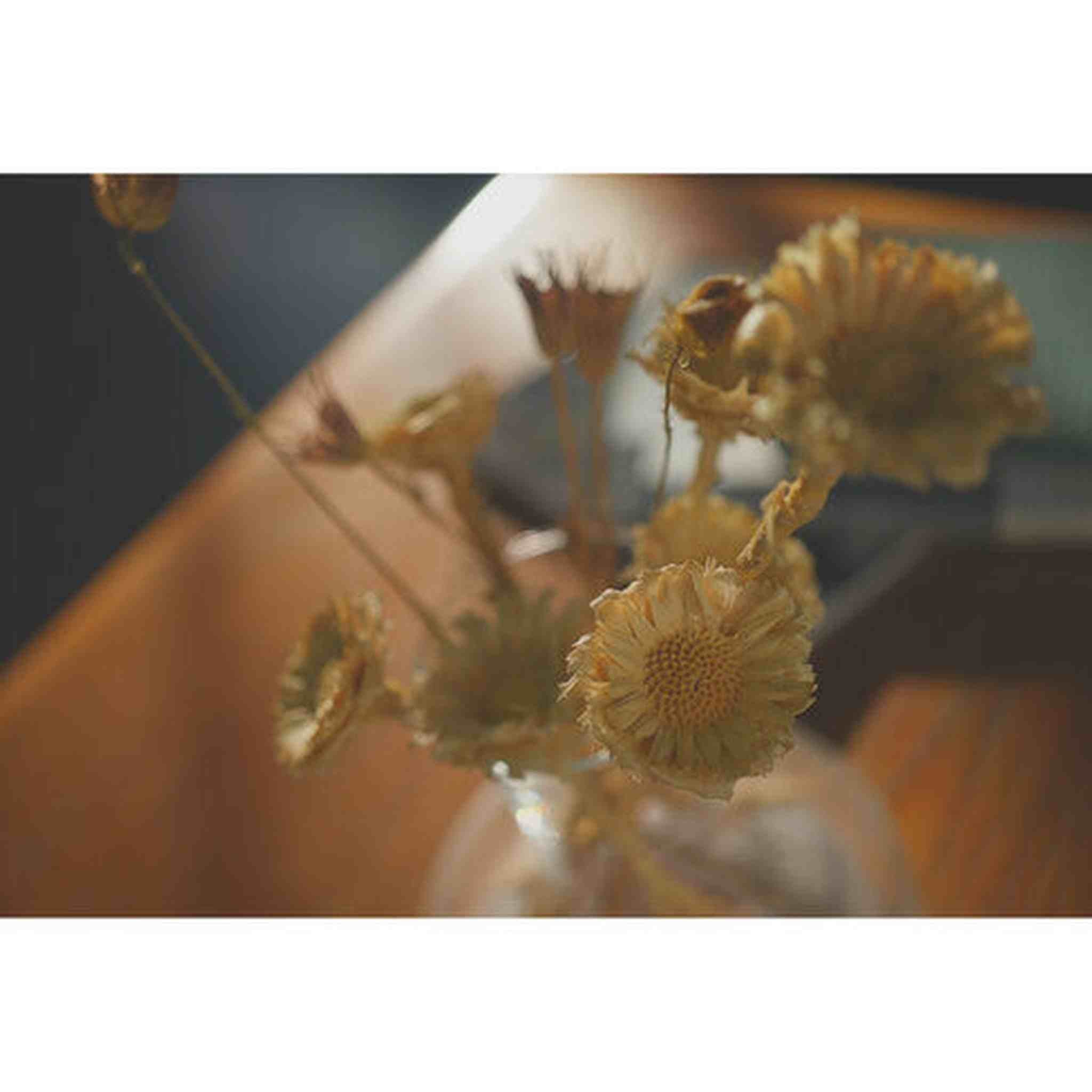 Sony a7C II Mirrorless Camera with 28-60mm Lens ILCE-7CM2L/B + 64GB SF-G Tough Card