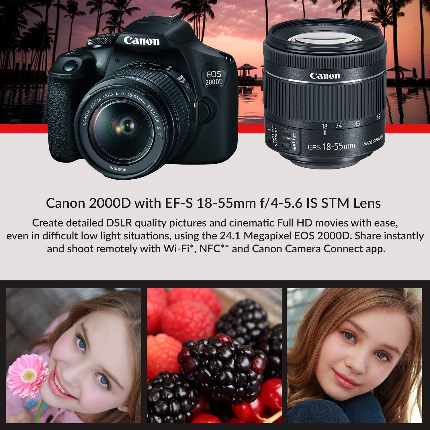 Canon EOS 2000D (Rebel t7) DSLR Camera and EF-S 18-55 mm f/3.5-5.6 IS II Lens + 75-300mm Telephoto Zoom Lens + 64GB Memory Card