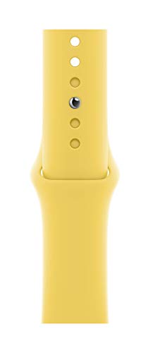 Apple Watch Band - Sport Band 44mm - Ginger - Regular