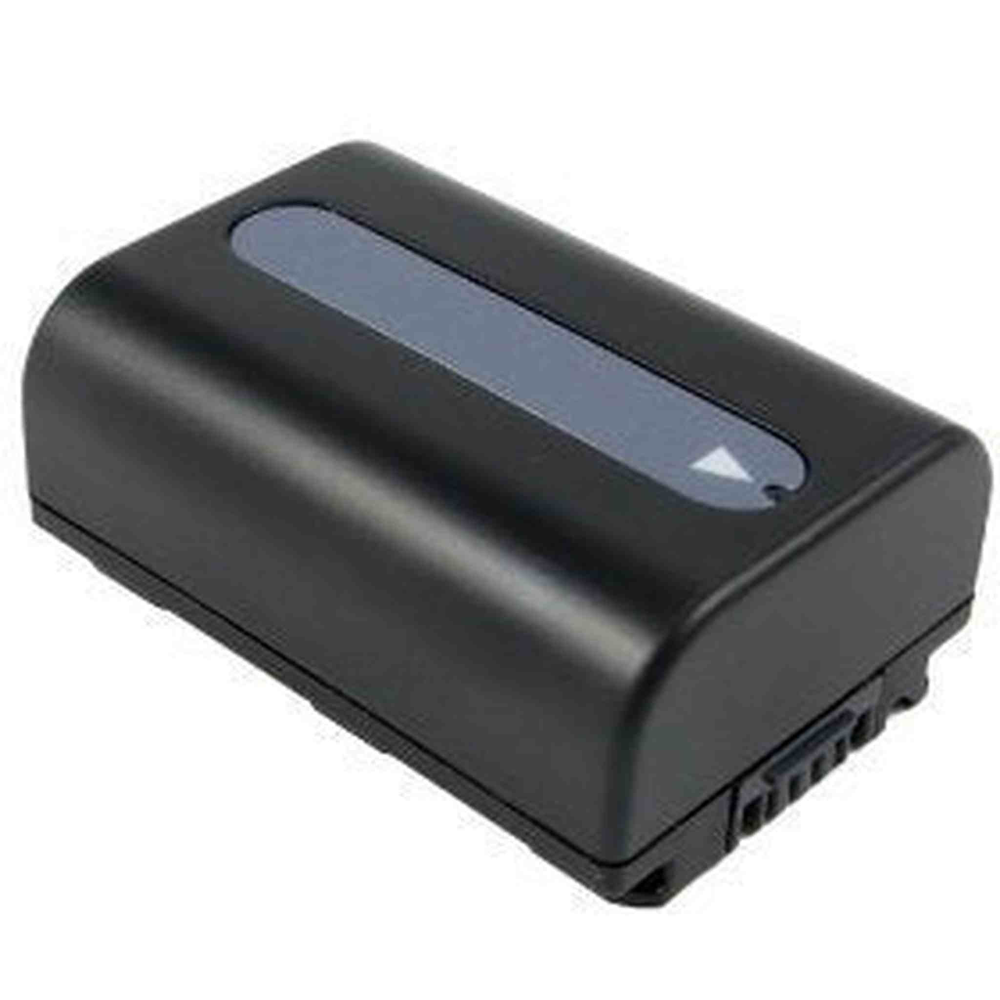 High Capacity Sony NP-FH50 Battery Kit Includes: Battery with Rapid Charger: Alpha DSLR Cameras and AVCHD, MiniDV, HD Handycam Camcorders