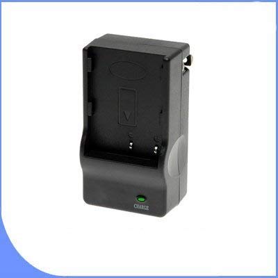 BigVALUEInc Saver Accessory Bundle - Replacement Lithium Ion Battery for Pentax Optio W60 and M50 PLUS 2GB SDHC Secure Digital Memory Card - + MORE!