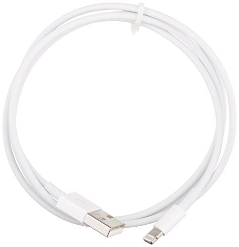 Apple AirPods with Charging Case Previous Model